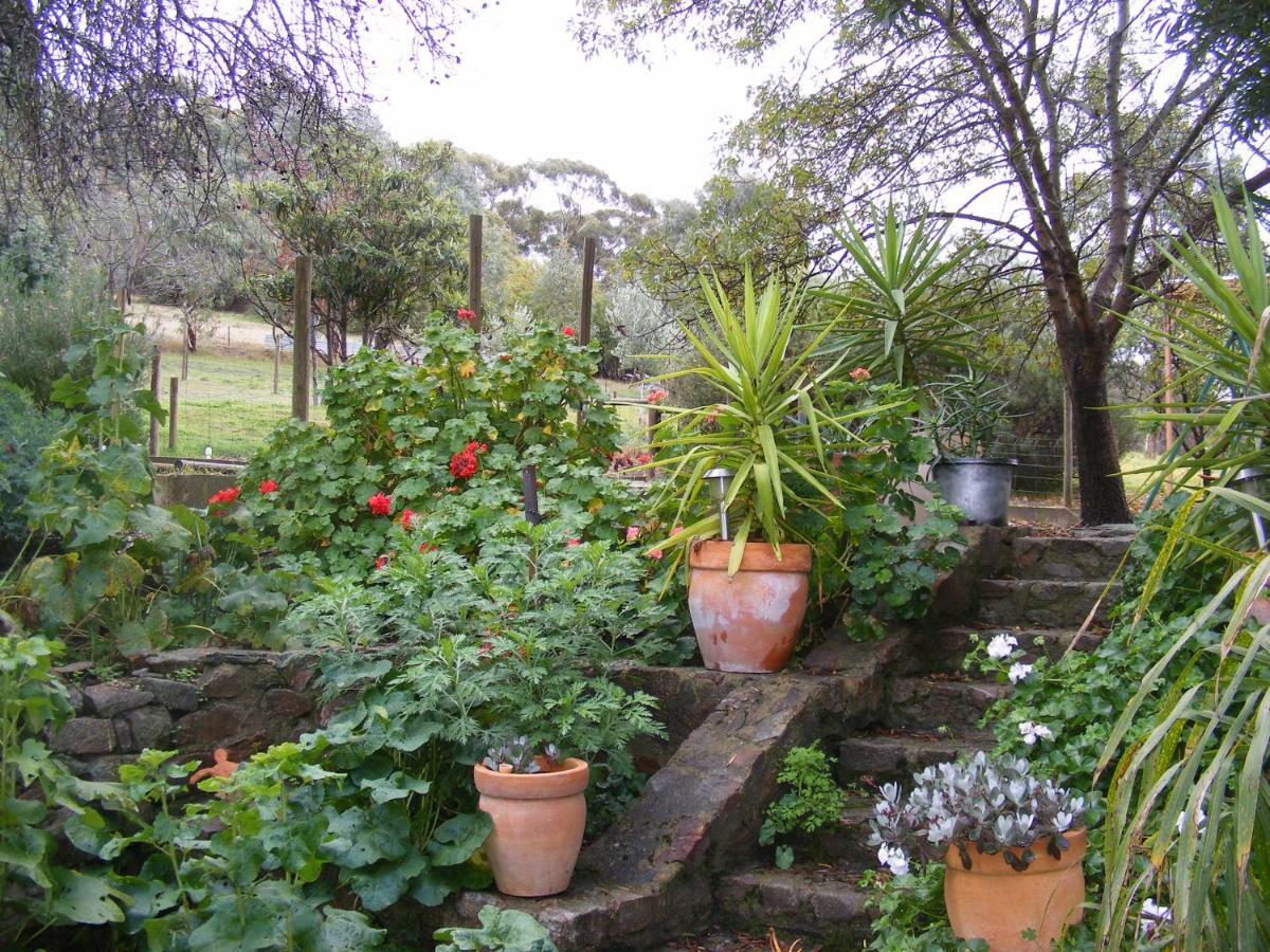 Trevalia Accommodation Penwortham Luaran gambar