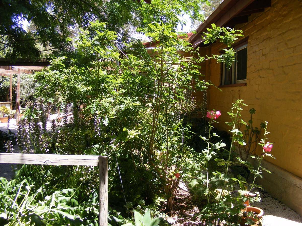 Trevalia Accommodation Penwortham Luaran gambar