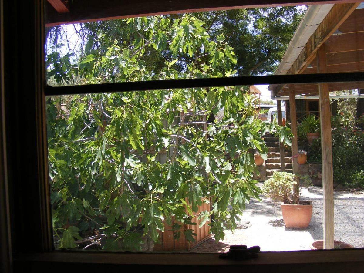 Trevalia Accommodation Penwortham Luaran gambar